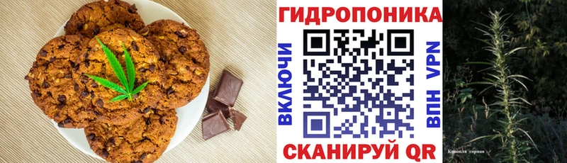 Купить  Анжеро-Судженск  Canna-Cookies марихуана 