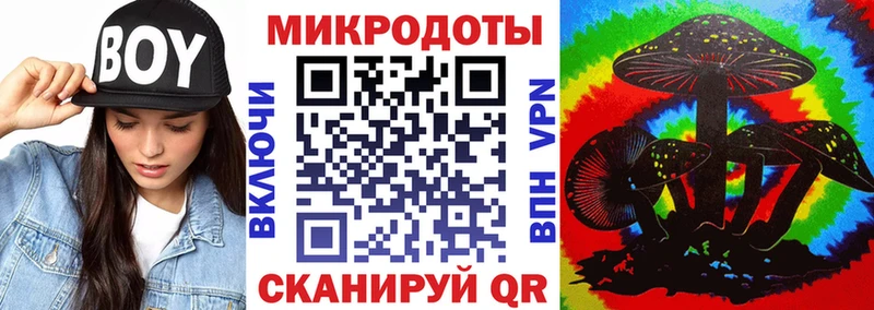Галлюциногенные грибы Cubensis  Купить где  Анжеро-Судженск 